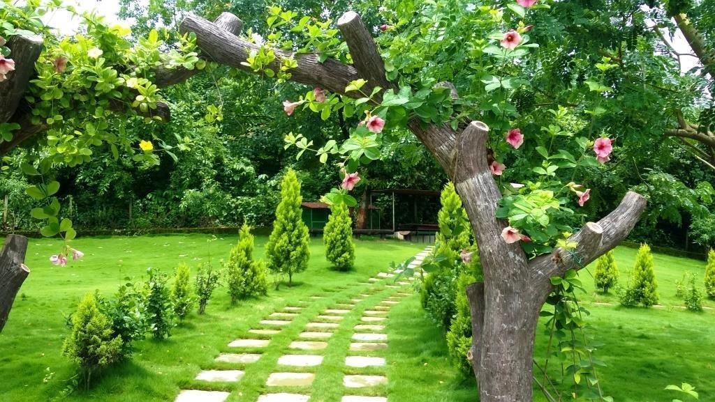 Sparsh Resort & Chalet Kalamb  외부 사진